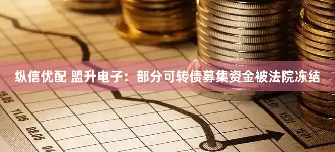 纵信优配 盟升电子：部分可转债募集资金被法院冻结