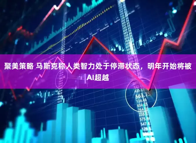 聚美策略 马斯克称人类智力处于停滞状态，明年开始将被AI超越
