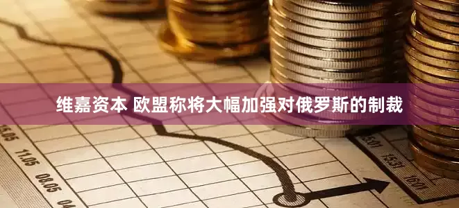 维嘉资本 欧盟称将大幅加强对俄罗斯的制裁