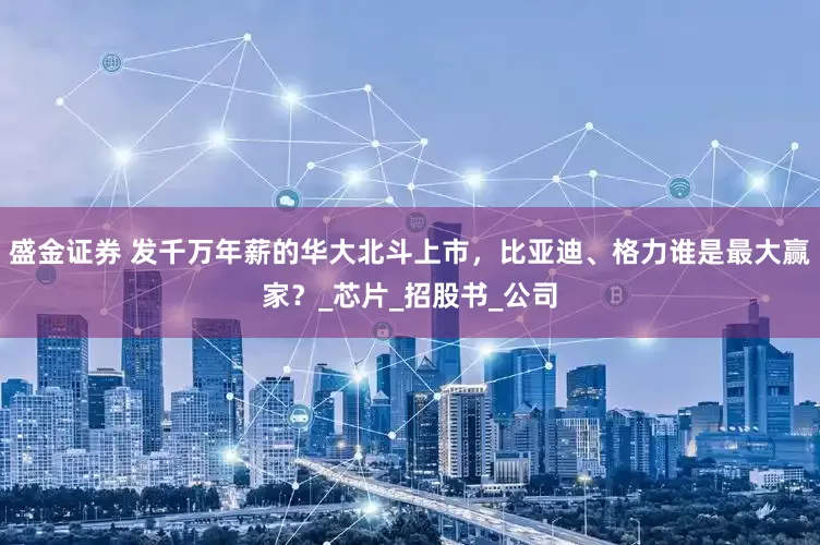 盛金证券 发千万年薪的华大北斗上市，比亚迪、格力谁是最大赢家？_芯片_招股书_公司