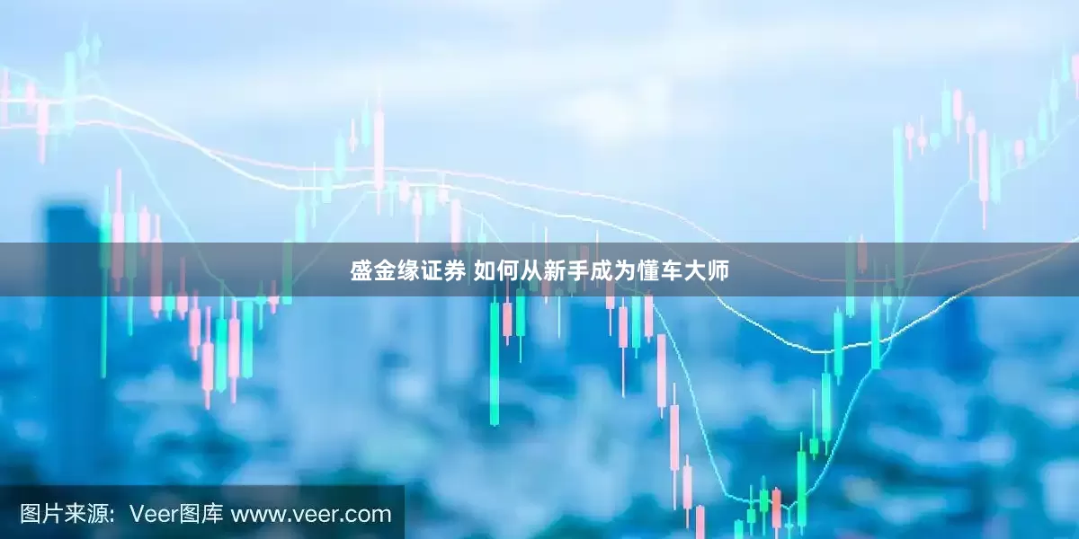 盛金缘证券 如何从新手成为懂车大师