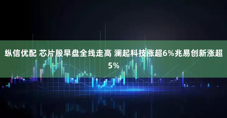 纵信优配 芯片股早盘全线走高 澜起科技涨超6%兆易创新涨超5%
